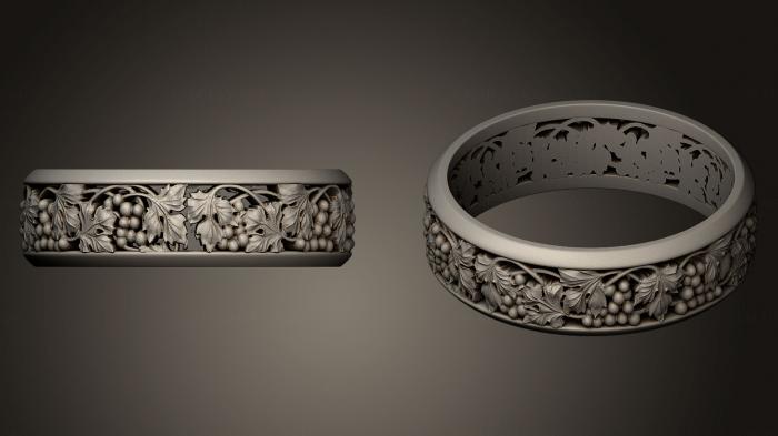 Jewelry rings (JVLRP_0162) 3D model for CNC machine